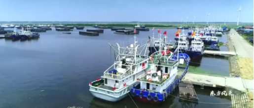 集團全力助推南通外向型農(nóng)業(yè)綜合開發(fā)區(qū)委托招商引資，打造現(xiàn)代化專業(yè)食品園區(qū)
